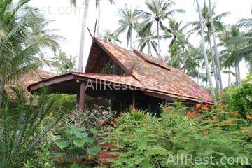 Coconut Village 15